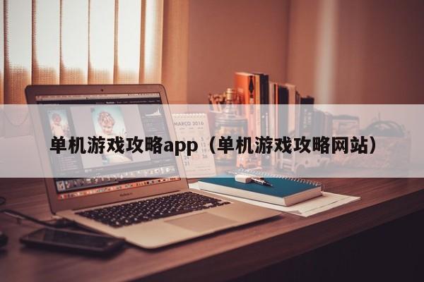 单机游戏攻略app（单机游戏攻略网站）