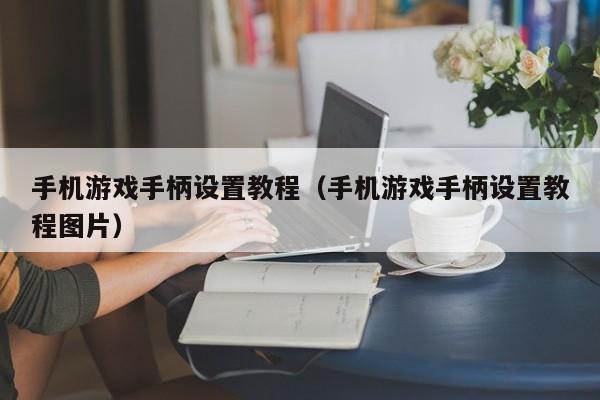 手机游戏手柄设置教程（手机游戏手柄设置教程图片）